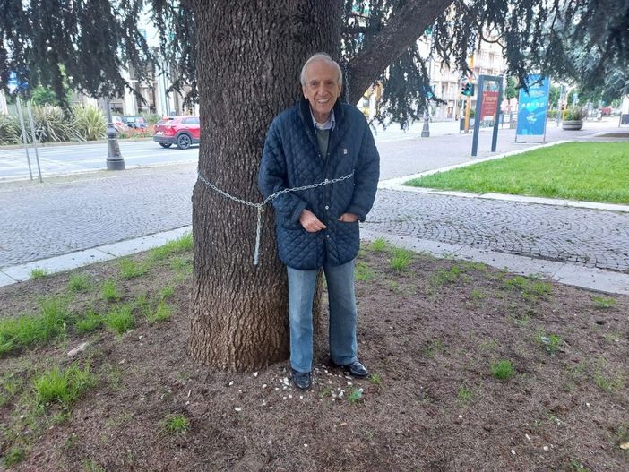 Cuneo, Sturlese s'incatena ai cedri di piazza Europa: "Li si abbatte per vendetta"