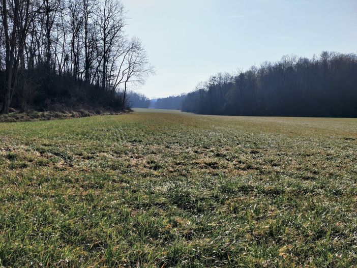 Le campagne al confine tra le province di Torino e Cuneo, dove sarebbe dovuto sorgere l'allevamento