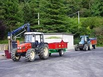 Vendemmia 2013: ritmi lenti ma qualità buona