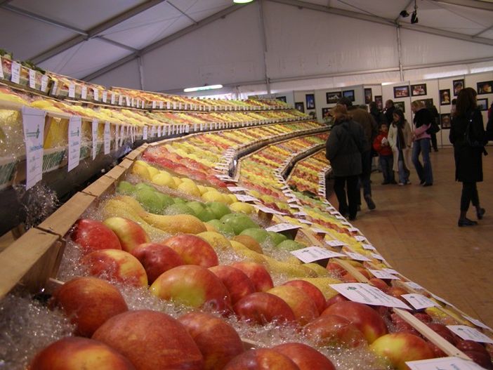 A Cavour è tutto pronto per “Tuttomele”: il “punto” insieme ai vertici della Pro loco