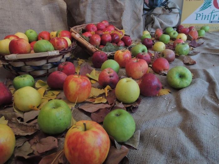 Al centro di “Tuttomele” a Cavour anche la “Strada delle mele”: 60 chilometri di percorso che toccano oltre 100 aziende frutticole