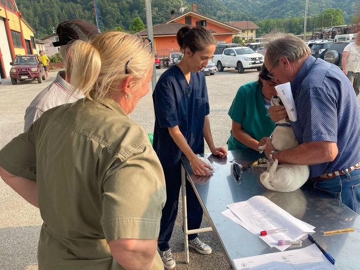 Indagine sulla presenza  di zoonosi trasmesse da zecche  in abitanti delle zone rurali