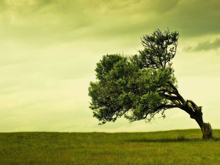 Cuneo: forti raffiche di vento previste per tutta la giornata