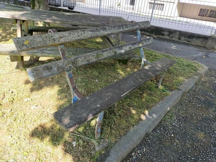 Mondovì, cattivo stato di manutenzione per l'area verde in via San Bernardo