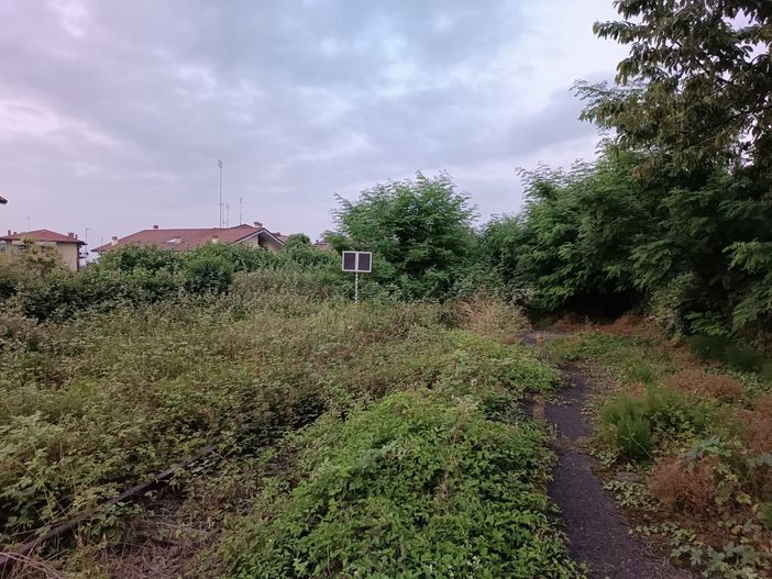 Degrado sempre più evidente sulla ex linea Cuneo-Mondovì, il sindaco Busciglio: "Una situazione condannata a rimanere tale"