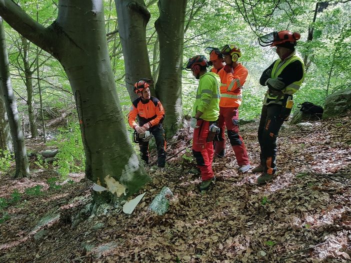 Al CfpCemon superate le 2500 ore di formazione in ambito forestale: "Un sentito grazie a chi ha collaborato"