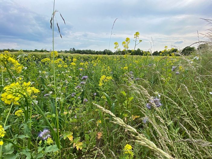 A Rocca de' Baldi la Giornata della Biodiversità agraria