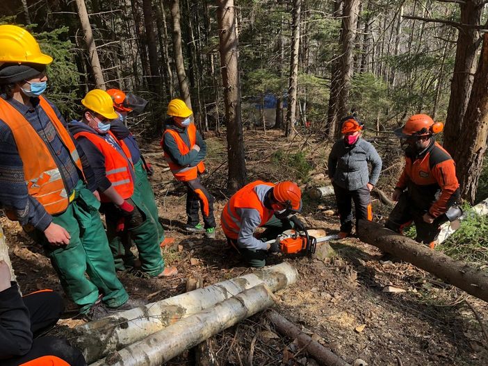 “Imparare facendo” alla Scuola Forestale di Ormea con il cantiere didattico “Imparare facendo” alla Scuola Forestale di Ormea con il cantiere didattico