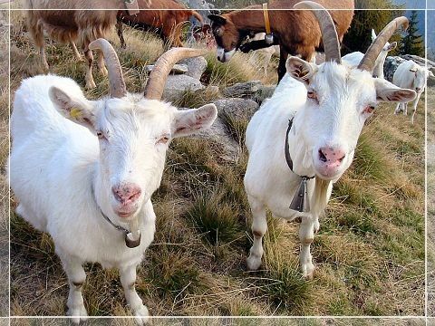 Immagine di repertorio