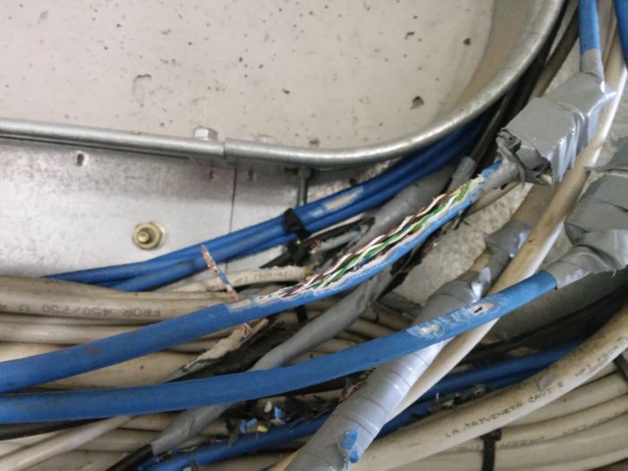 I cavi rosicchiati dal ghiro