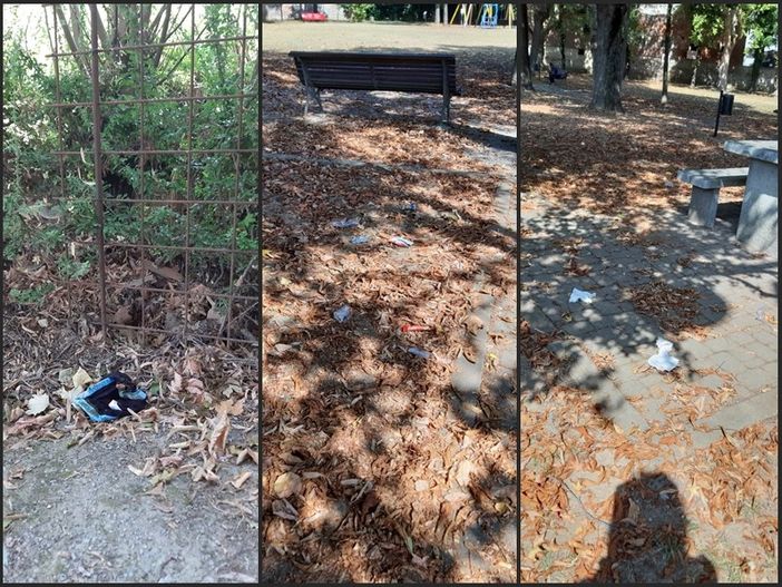 Al parco Allea di Trinità un brutto episodio di imbrattamento, abbandono di rifiuti e latrine a cielo aperto Al parco Allea di Trinità un brutto episodio di imbrattamento, abbandono di rifiuti e latrine a cielo aperto
