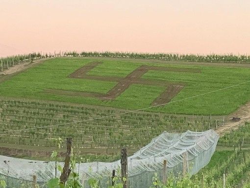 Un contadino 80enne il responsabile della svastica "comparsa" a San Damiano