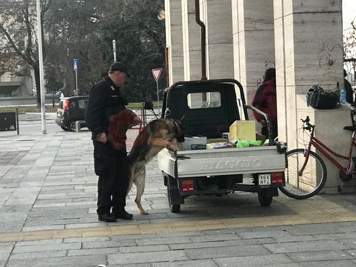 Cuneo, controlli antidegrado dei carabinieri con i cinofili in corso Giolitti
