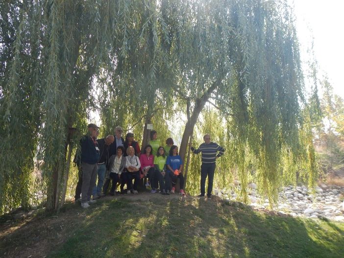 Nuove adozioni per gli alberi del Parco fluviale Gesso e Stura