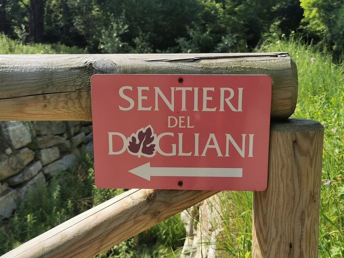 Proseguono le “Passeggiate Gourmet” di Confartigianato Cuneo: Dogliani la prossima tappa