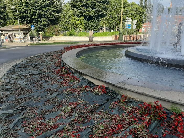 Danneggiata l'aiuola della "fontana dei bambini" a Mondovì Breo