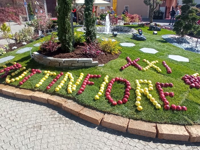 Tante proposte per trascorrere la Domenica delle Palme nella Granda Tante proposte per trascorrere la Domenica delle Palme nella Granda