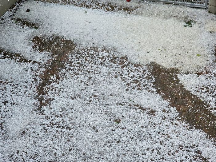 Immagine di repertorio