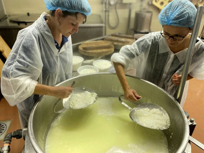 Scuola per giovani pastori: sfide e opportunità nelle aree interne cuneesi