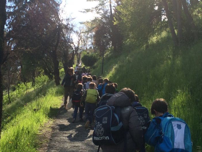 Ascensore fermo a Cuneo: tre classi delle elementari restano a piedi