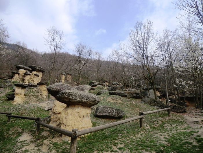 Nove artisti che hanno “visto” e utilizzato l'energia e lo spirito degli alberi a Villar San Costanzo per il “Festival degli alberi” Nove artisti che hanno “visto” e utilizzato l'energia e lo spirito degli alberi a Villar San Costanzo per il “Festival degli alberi”