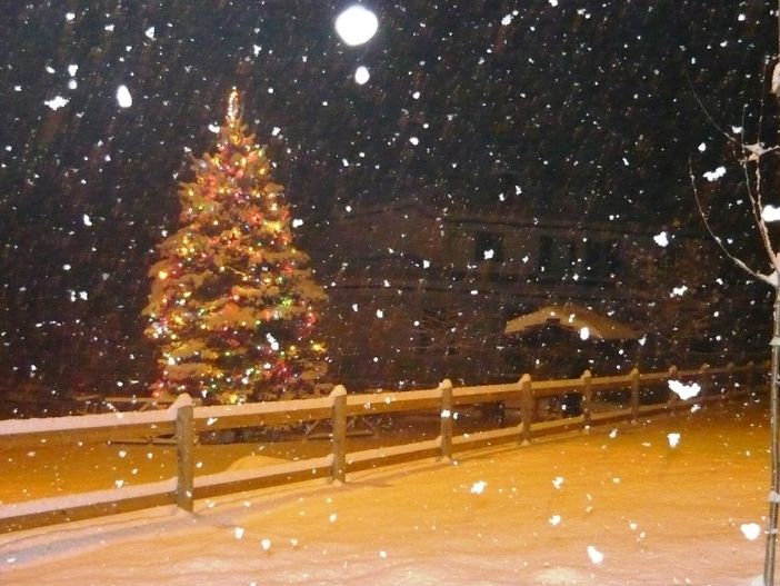 Il gigantesco Albero di Natale di frazione Robella sotto la neve Il gigantesco Albero di Natale di frazione Robella sotto la neve