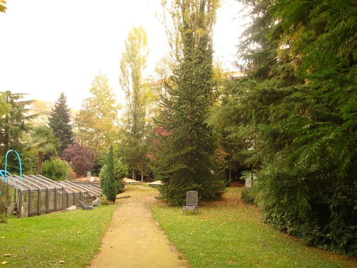 Il giardino della Fondazione Peano