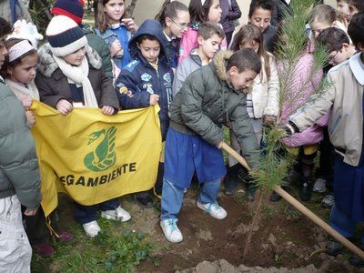 La Festa dell’Albero a Cuneo mercoledì 23 novembre