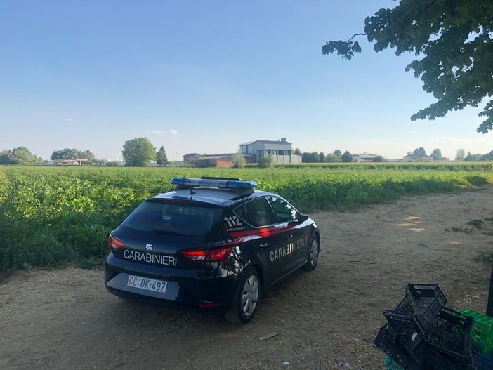 Immagine di repertorio Immagine di repertorio