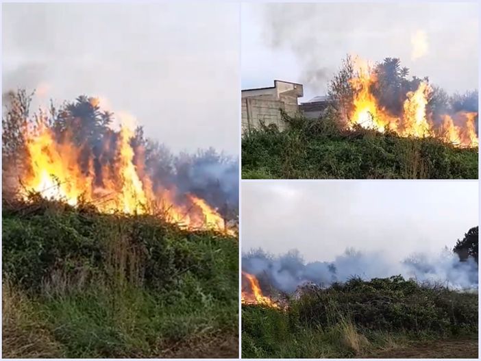 Le prime immagini dell'incendio divampato accanto al cimitero di Carrù