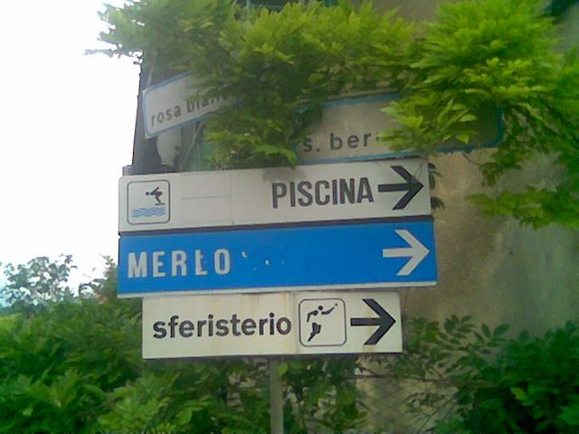 Via San Bernolfo e la lussureggiante invasione verde