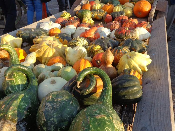 A Piozzo torna l'attesissima Fiera regionale della Zucca