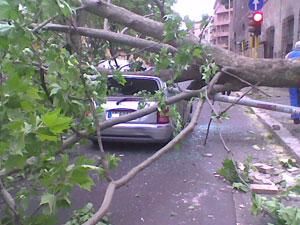 Vento in mattinata sul saluzzese: alberi caduti a Venasca e Sampeyre