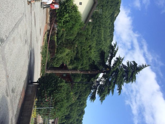 Immagine di repertorio