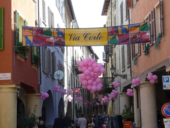 Dogliani, immagine di repertorio