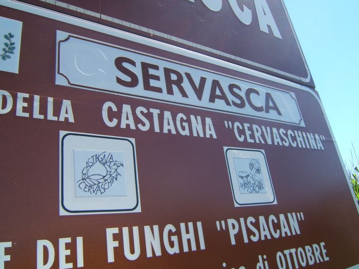 Cervasca rivaluta i funghi 'Pisacan' Cervasca rivaluta i funghi 'Pisacan'