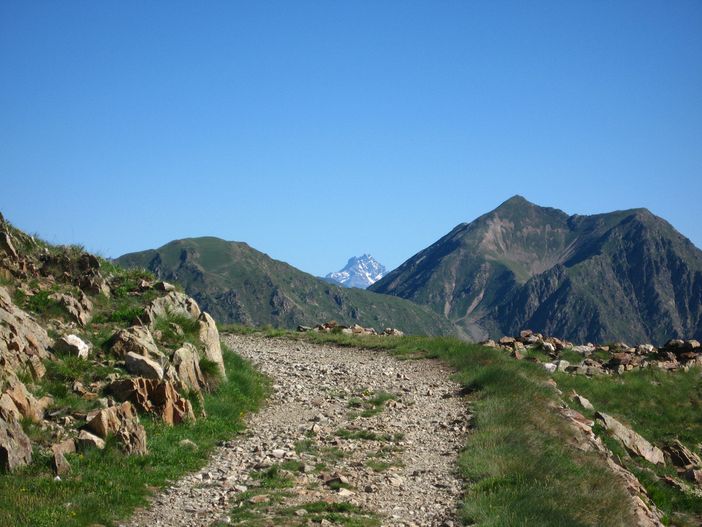 Immagine di repertorio