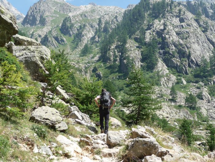 Immagine di repertorio