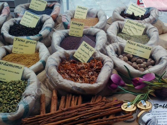 Gli eventi del weekend da non perdere: dalla rassegna Sapori di Primavera fino a Quintessenza in scena a Savigliano