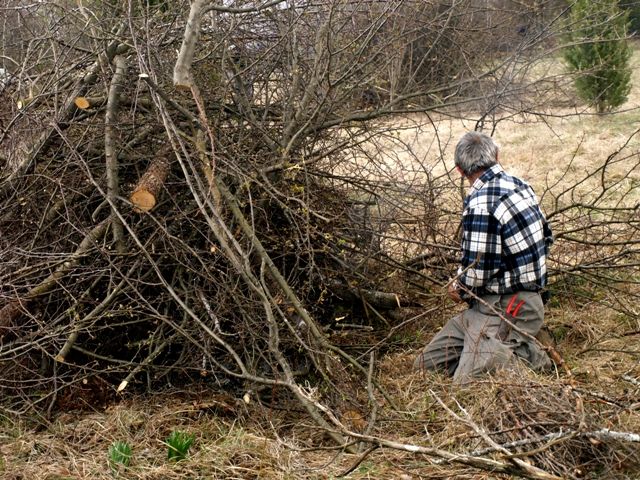 Da febbraio a Fossano sarà riattivata la raccolta del verde a domicilio