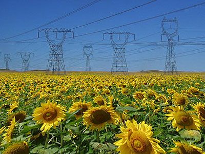 Ci sono bioenergie... e bioenergie, ma sono utili solo le bioenergie “fatte bene”