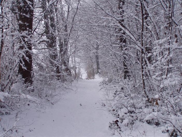 Troppa neve sulla strada ed il Comune non la toglie: due anziani di Barge "salvati" dai Vigili del Fuoco