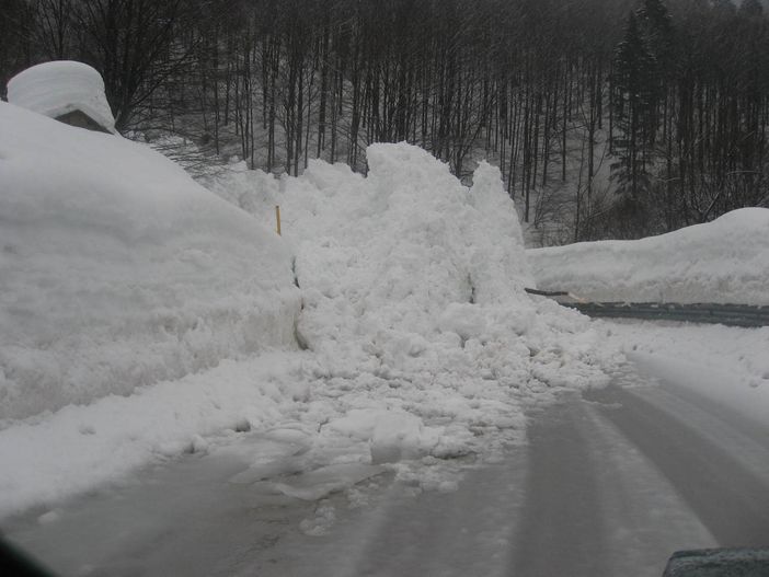 Immagine di repertorio