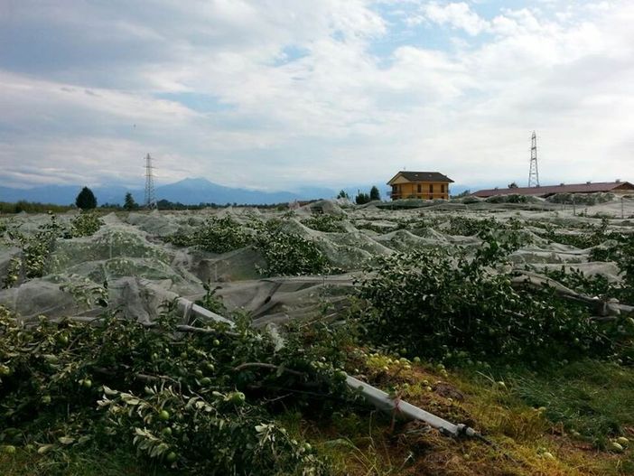 Incontro tecnico “La tenuta strutturale degli impianti antigrandine – materiali e progettazione” a Manta