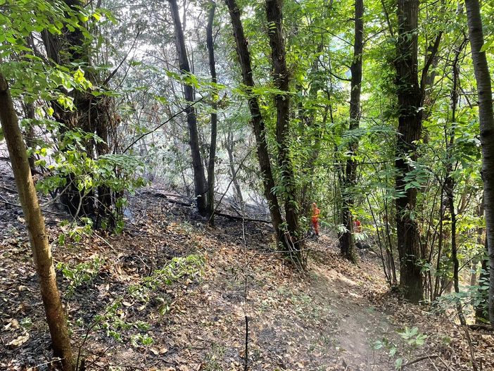 Incendio boschivo verso San Giorgio di Montemale di Cuneo. Salvo il traliccio dell'alta tensione
