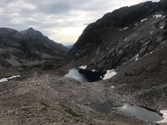Pecore bloccate su dirupo in alta Valle Gesso, nella zona dei laghi di Valscura
