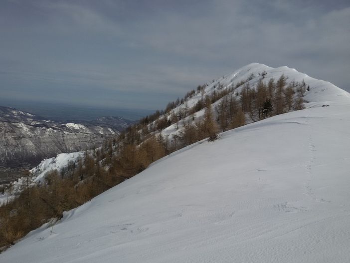 Le impronte di un lupo sopra Desertetto nella foto di un lettore Le impronte di un lupo sopra Desertetto nella foto di un lettore