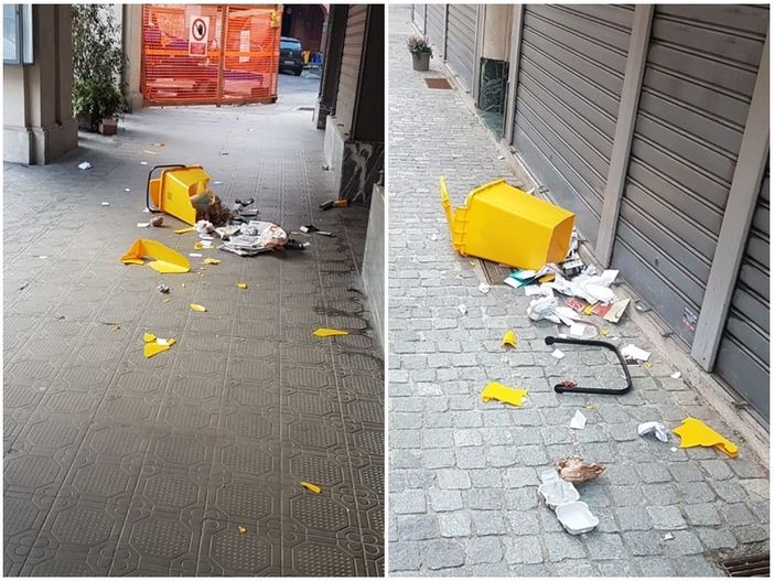 Distrugge i mastelli della raccolta carta a Mondovì, ma viene sorpreso dai carabinieri Distrugge i mastelli della raccolta carta a Mondovì, ma viene sorpreso dai carabinieri