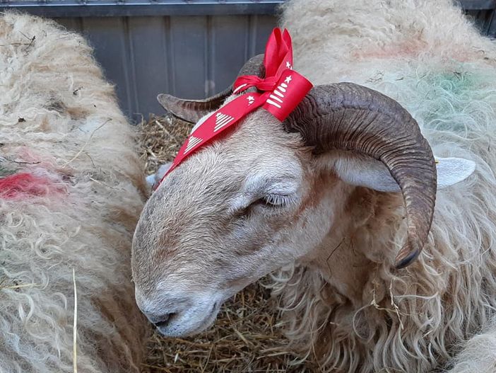 Chiusa di Pesio pronta a diventare "Paese Incantato"