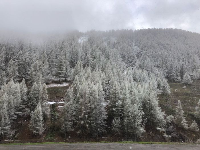 Temperature in picchiata: torna a cadere la neve nelle vallate Temperature in picchiata: torna a cadere la neve nelle vallate